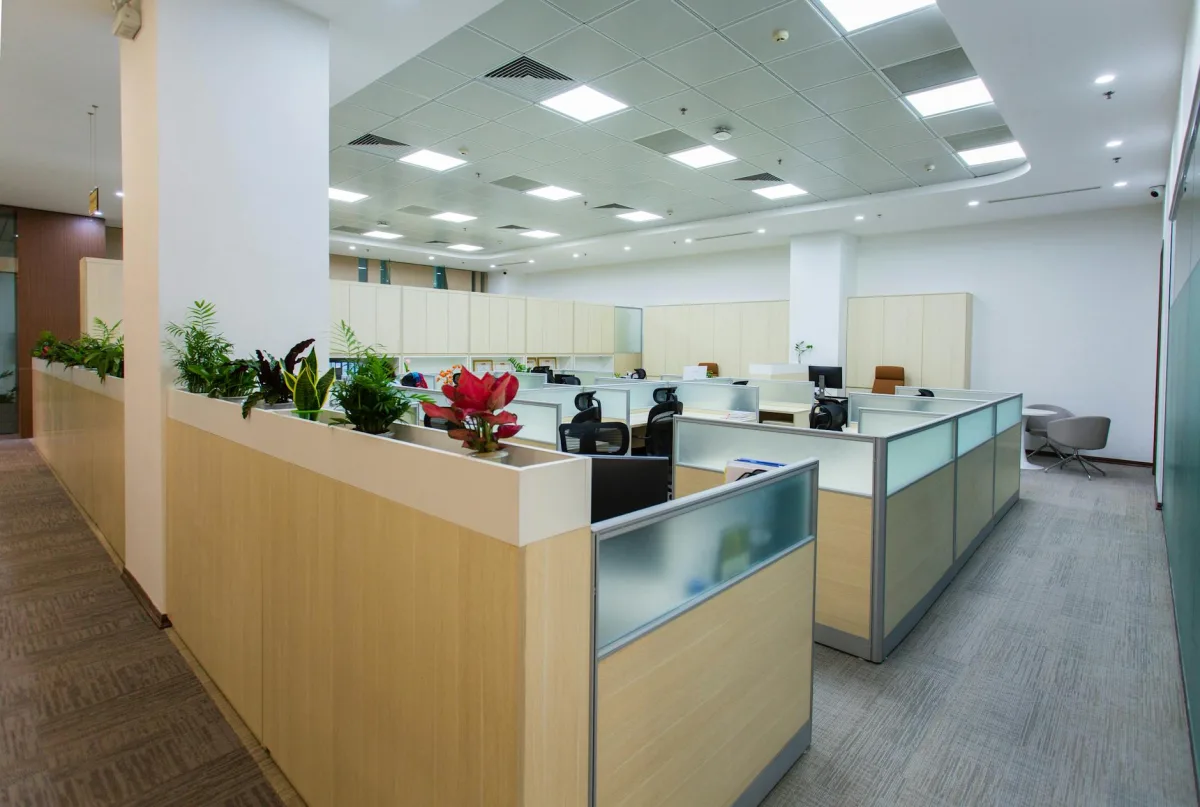 A bright open office with daylight, plants, and people working at desks.